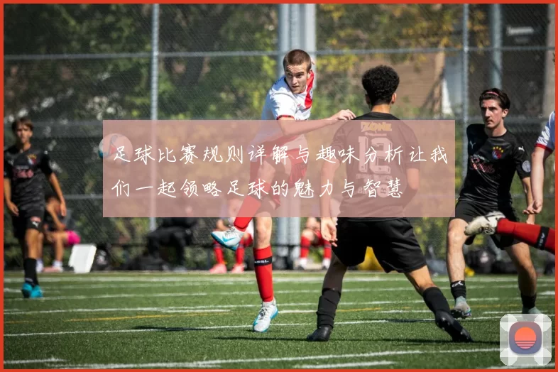 足球比赛规则详解与趣味分析让我们一起领略足球的魅力与智慧
