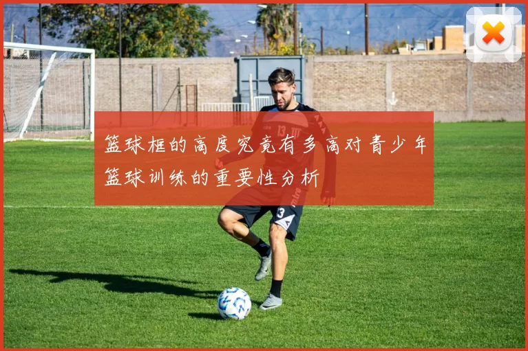 篮球框的高度究竟有多高对青少年篮球训练的重要性分析