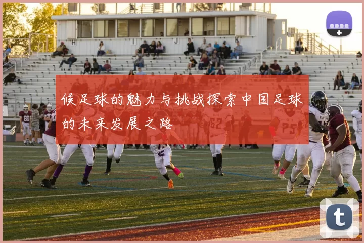 候足球的魅力与挑战探索中国足球的未来发展之路